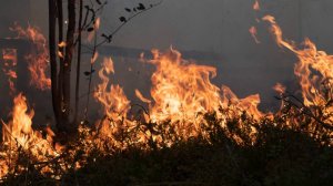 Пожар в забайкальской Атамановке тушат почти неделю