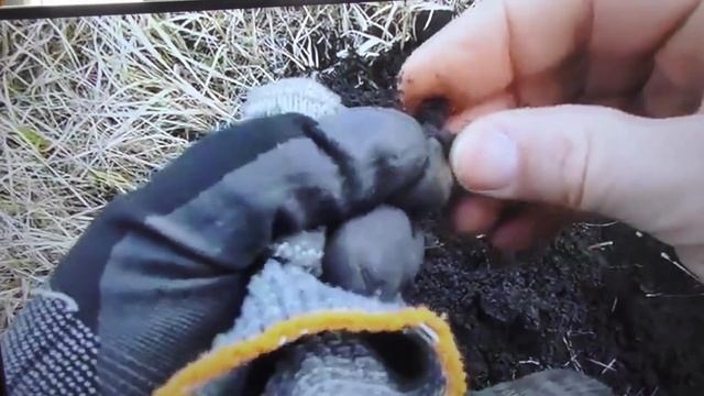 VDI ДЕУС2 решаю спорный вопрос. И сколько же мне проплатили!?