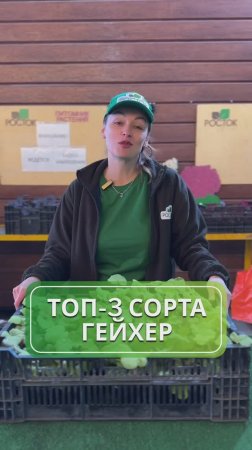 🌿 Если вы хотите добавить в свою коллекцию лучших представителей этого вида, вот топ-3 гейхеры, ...