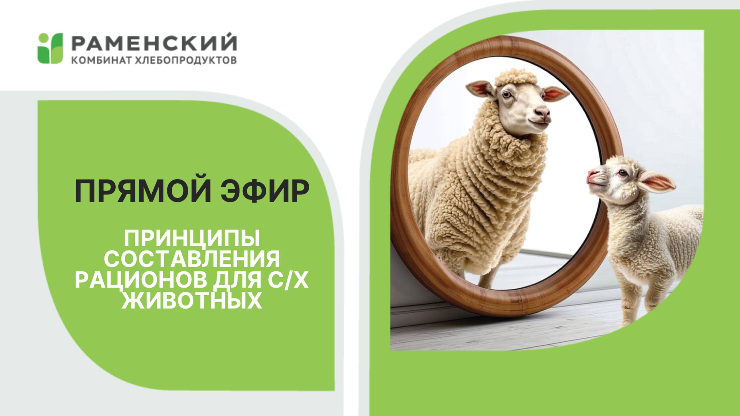 Как грамотно составить рацион кормления для продуктивных с/х животных?