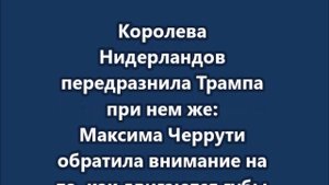 Королева Нидерландов передразнила Трампа при нем же