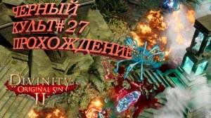 ПРОХОЖДЕНИЕ, ЧЕРНЫЙ КУЛЬТ►Divinity Original Sin 2►27