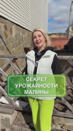 Чек-лист по уходу за малиной весной: чтобы кусты были здоровыми и дали высокий урожай 🌿🍓