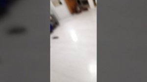 1000031161.mp4
