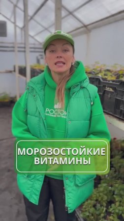 Витамины для Сибири и Урала 🍒
