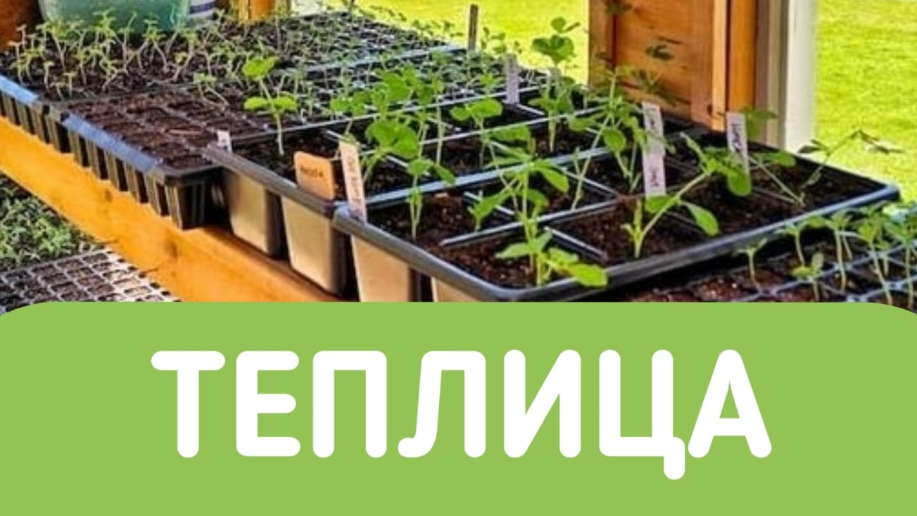 Реконструкция зимней теплици.