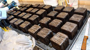 🍞 Утренний хит! 108 слоёв идеального хлеба — продаётся моментально! #корейскаяеда #чтоедятвкорее