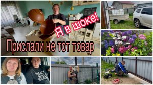 Привезли кубовик. Что за подарок для мужа? Прислали не тот заказ. Купила крупнолистные Гортензии.
