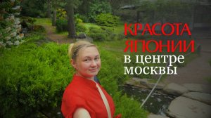«Секреты японского сада: ирисы, камни и философия дзэн»