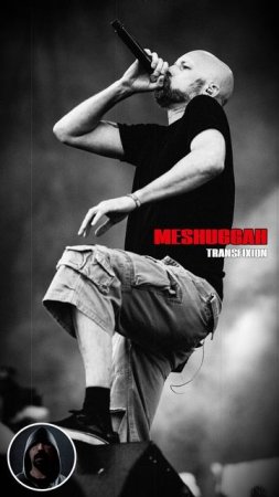 Meshuggah - Transfixion (Cover)