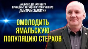 В Окский заповедник доставили яйца стерхов, собранные в Якутии