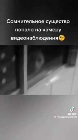 что ты такое