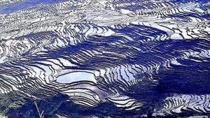 Природа Поставила Ученых В Тупик! 15 Безумных ЧУДЕС ПРИРОДЫ, О Которых Вы НЕ ЗНАЛИ #2