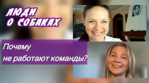 Команды для собак или для хозяев?