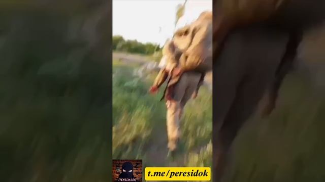 Боец вынес раненого на себе с минного поля