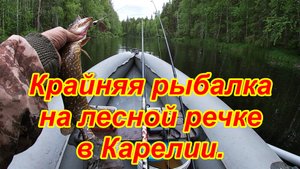 Крайняя рыбалка на лесной речке в Карелии