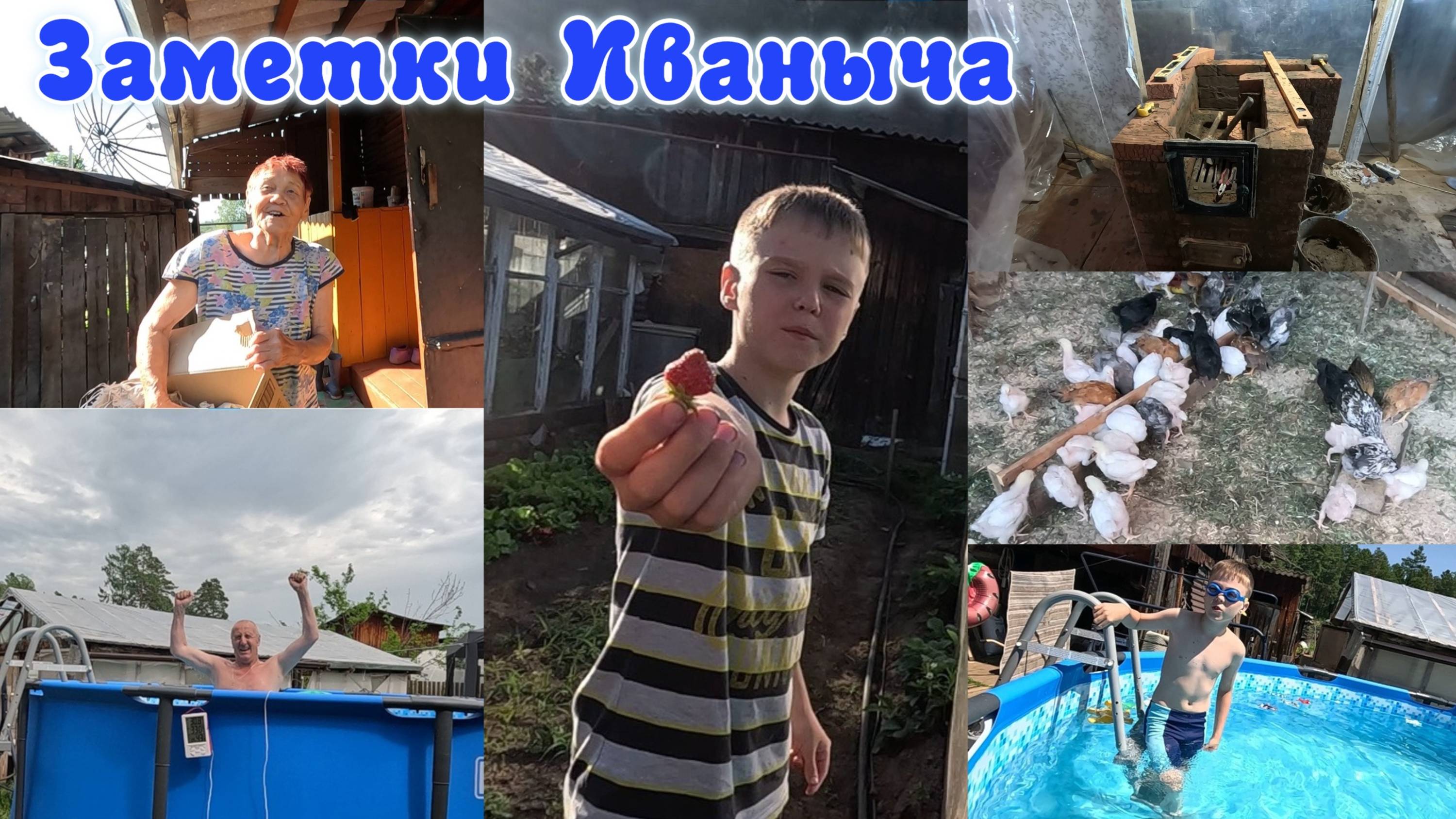 Лето в деревне: печь для друга, цыплятки для бабы Лизы
