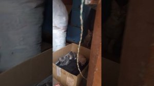 реальная жизнь Ильи
