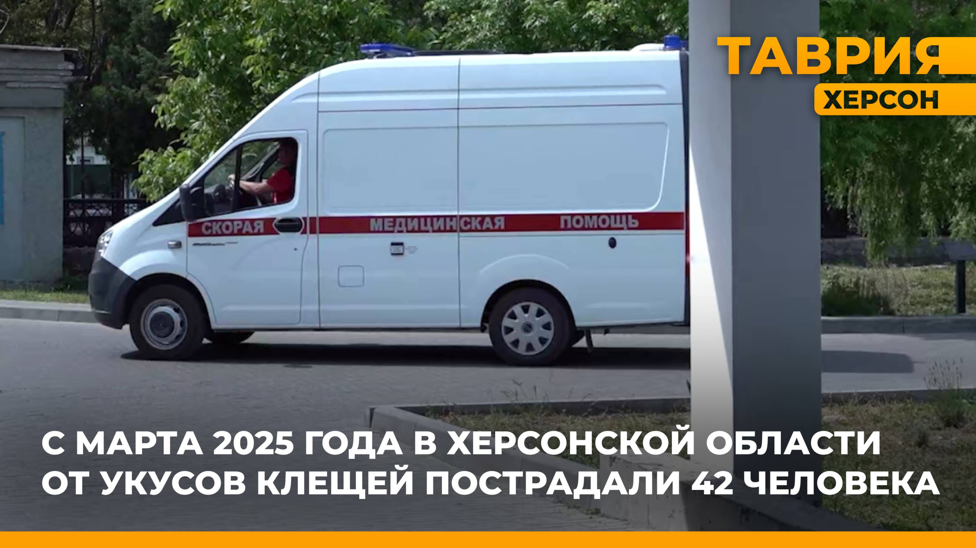 С марта 2025 года в Херсонской области от укусов клещей пострадали 42 человека