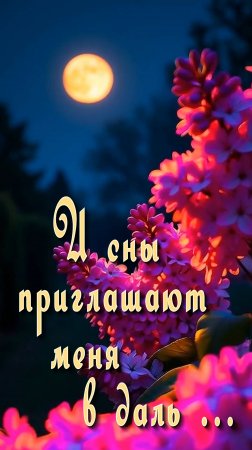 Спокойной ночи