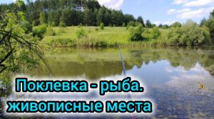 Поклевка, рыба, живописный берег