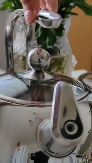 Чайник TALLER Данкан со свистком, 2.5 л, толщина стенки 0,6 мм, толщина дна 4.1 мм, TR-11350