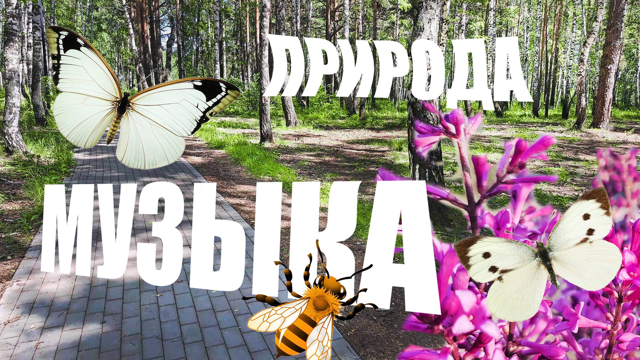 РЕЛАКС ПРОГУЛКА В ОКРЕСТНОСТЯХ И ПАРКАХ КРАСНОЯРСКА ПОД «ВАЛЬС ЦВЕТОВ»