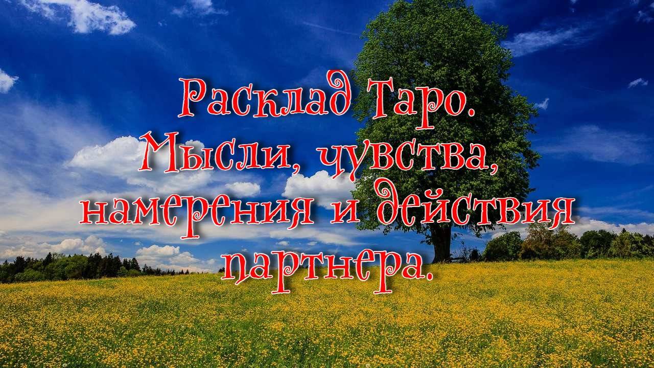 Расклад Таро. Мысли, чувства, намерения и действия партнера.