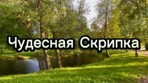 Прекрасная скрипка, музыка для души
