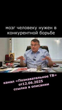 2025.06.26 мозг человеку нужен в конкурентной борьбе