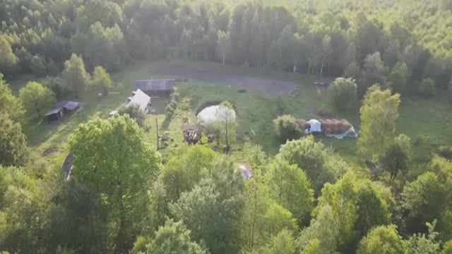 Антоха. ПЛОХИЕ НОВОСТИ, ДИКИЕ ЖИВОТНЫЕ ГРАБЯТ МЕНЯ ПО НОЧАМ. ЖИЗНЬ в ЛЕСУ.