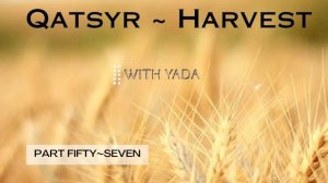 Qatsyr ~ Harvest Part Fifty~Seven 25 June 2025
