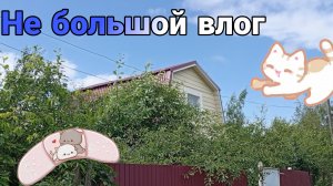 Не большой Влог на даче у бабушки с дедушкой.Видео от Polli Show