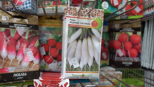 Огород. Сорта редиса, которые не стрелкуются. Урожай будет весь сезон.