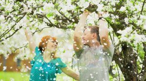 Соловьи и вишнёвая метель  Музыка и вокал Александра Смирнова, Стихи Е. Дубковой