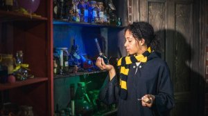 Гарри Поттер и заклятие темной печати