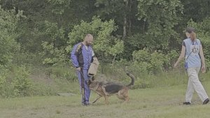 3 Отл. Улэн Диа ЧАКПАН +++ №52. КЧК ХАБАРОВСК 13 июня`25 В.Киселева Моно н/о