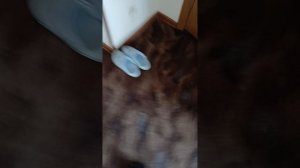 1000010392.mp4