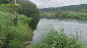 Рыбалка на горбушу спиннингом. Приманка тасманский дьявол.
