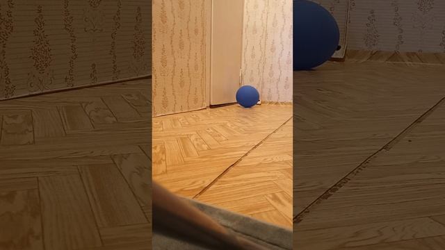 обзор