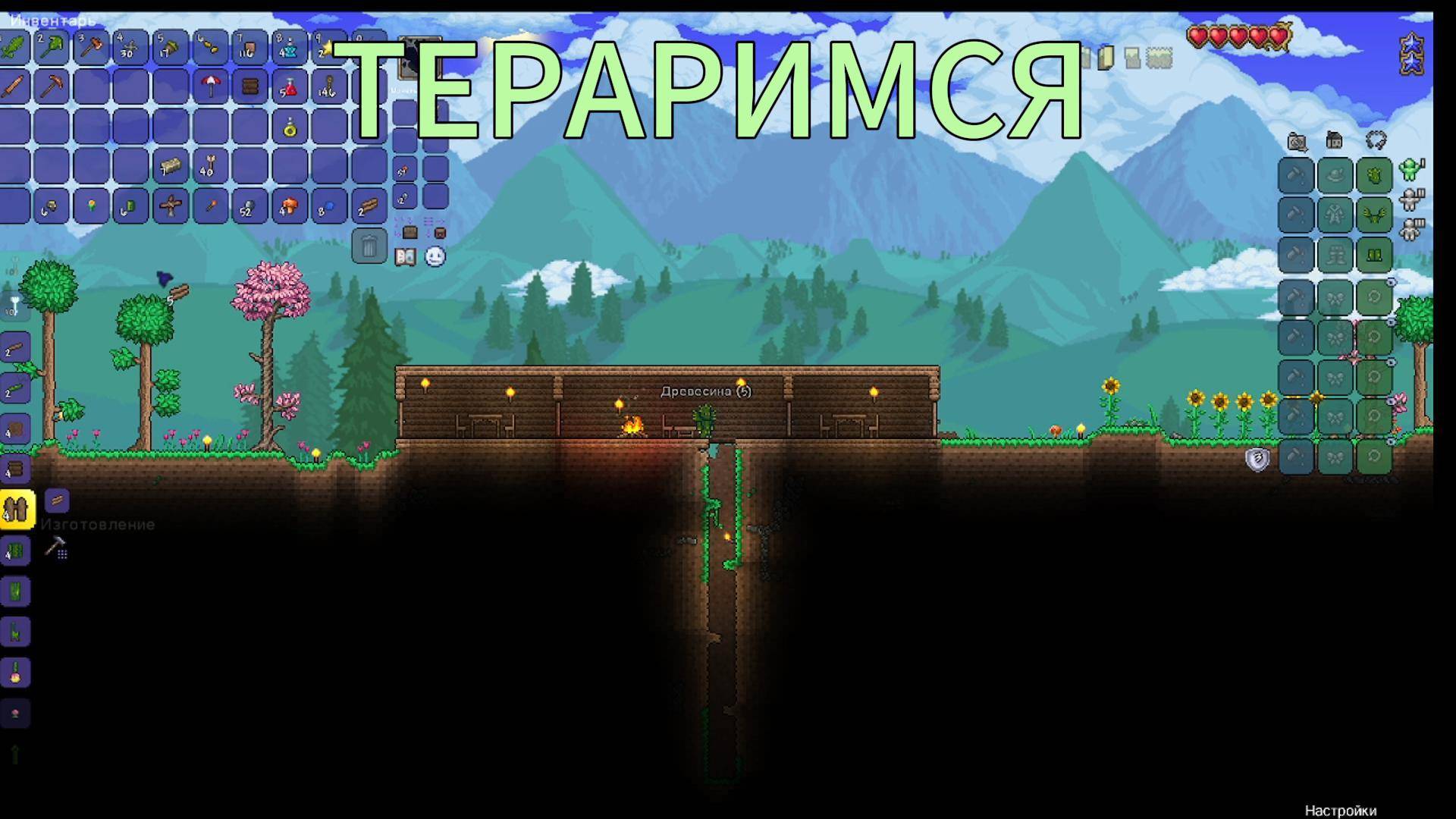 РАЗВИВАЕМСЯ ТЕРАРИЯ