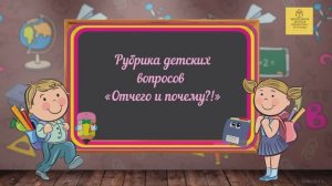 Online – рубрика детских вопросов «Отчего и почему. Выпуск 10»