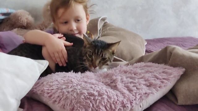 кот попал в другой мир