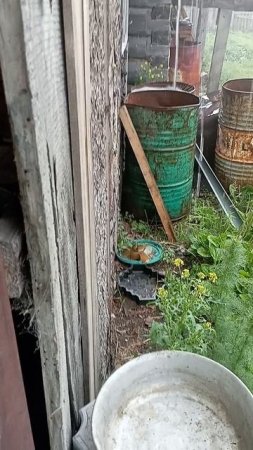 мощный дождь