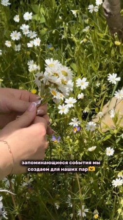 Свадьба #shorts