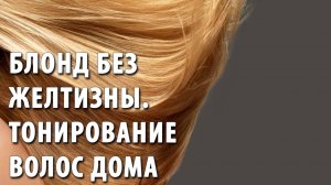 Тонирование Волос в Домашних Условиях | Как Убрать Желтизну из Блонда | Тоник для Светлых Волос