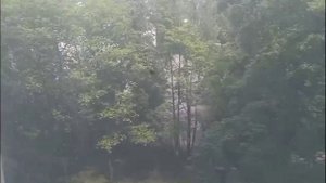 Квартира 264 Днепропетровская 06.25