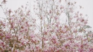 Подкаст 8. Как слышать ответы внутри себя