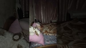 калининград