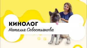 Школа_коррекции_поведения_«Мир_глазами_собак_«С_Вами_кинолог_Севостьянова